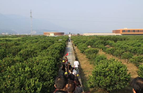 點(diǎn)擊新窗口打開(kāi)大圖