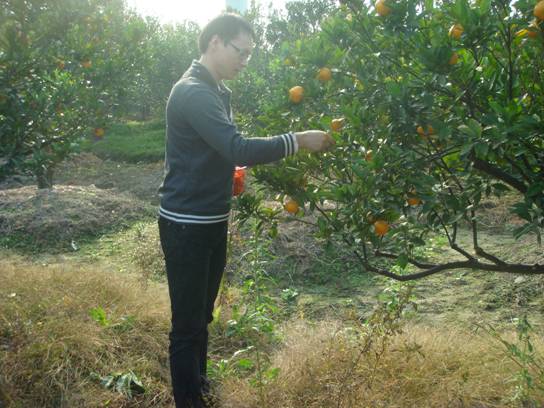 點(diǎn)擊新窗口打開(kāi)大圖