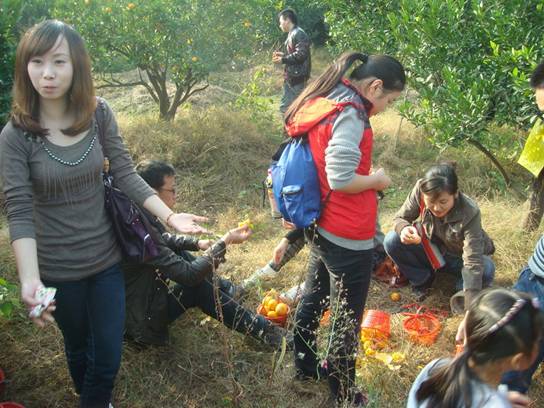 點(diǎn)擊新窗口打開(kāi)大圖