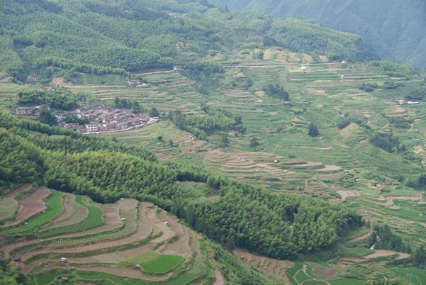 點(diǎn)擊新窗口打開(kāi)大圖