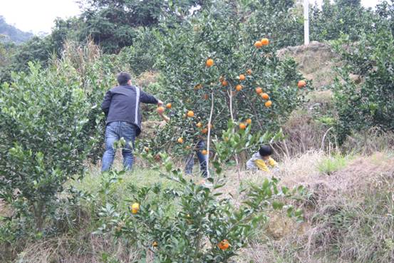 點(diǎn)擊新窗口打開(kāi)大圖